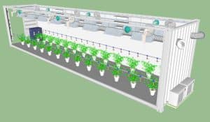 Greenhouse shipping container in Florida